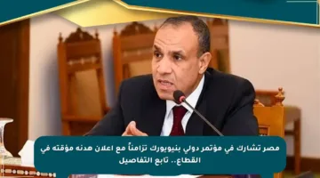 مصر تشارك في مؤتمر دولي بنيويورك تزامناً مع إعلان هدنة مؤقتة في القطاع.. تابع التفاصيل